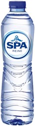 Water Spa Reine blauw petfles 500ml