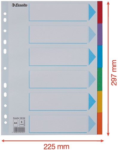 Tabbladen Esselte Standaard A4 6-delig karton 11-rings met voorblad assorti-5