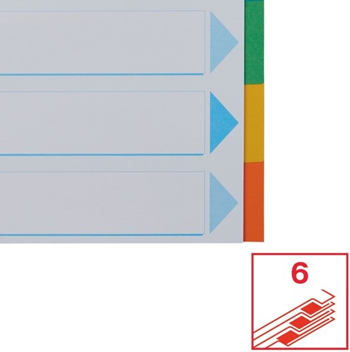 Tabbladen Esselte Standaard A4 6-delig karton 11-rings met voorblad assorti-4