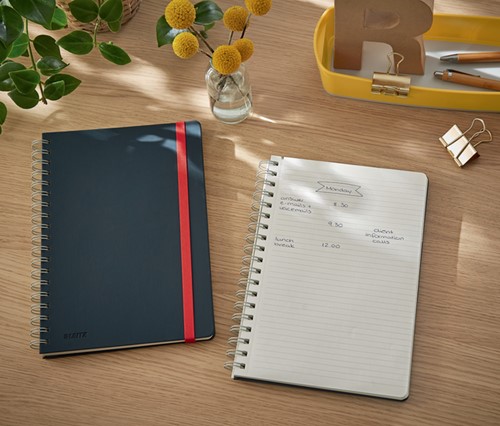 Notitieboek Leitz Cosy B5 160blz 100gr spiraal lijn grijs-3