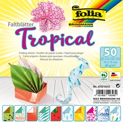 Vouwblaadjes Folia 80gr 15x15cm 50 vel 2-zijdig 10 tropical designs