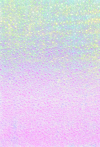 Regenboogpapier Folia 23x33cm iriserend 75gr 10 vel assorti-3