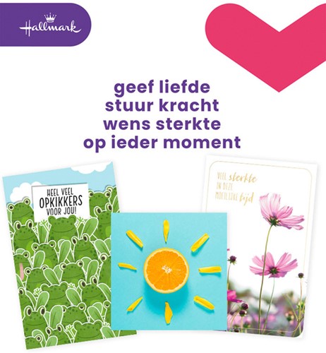 Wenskaart Hallmark navulset beterschap/sterkte 12 kaarten