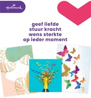 Wenskaart Hallmark navulset blanco 8 kaarten