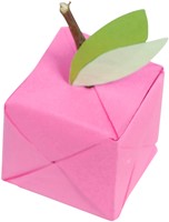 Origami Clairefontaine Neon 20x20cm set à 100 vel 70gram assorti-1