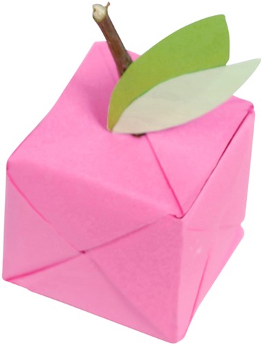 Origami Clairefontaine Neon 20x20cm set à 100 vel 70gram assorti-1