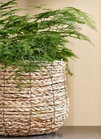 Plantenmand Mica Avalon zeegras rond lichtbruin 26x26cm-1