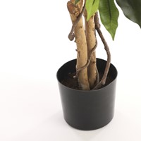 Kunstplant Mica Ficus in plastic pot 180x100cm-2