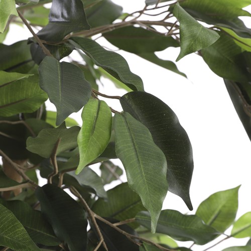 Kunstplant Mica Ficus in plastic pot 180x100cm-3