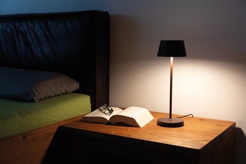 Tafellamp MAUL Nina LED akku-oplaadbaar dimbaar bruin-1