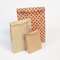 Cadeauzak Clairefontaine16x30x5cm kraft sterren 50 stuks-1