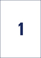 Etiket Avery Zweckform L4775-100 210x297mm 100 etiketten-3