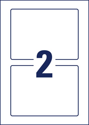 Positioneeretiket Avery Zweckform 8002 160x120mm bedrukt 10 etiketten-3