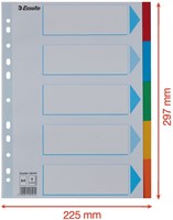 Tabbladen Esselte Standaard A4 5-delig karton 11-rings met voorblad assorti-5