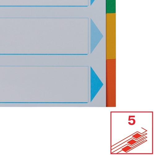 Tabbladen Esselte Standaard A4 5-delig karton 11-rings met voorblad assorti-4