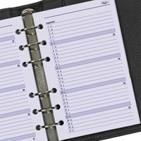 Agendavulling 2026 Kalpa Senior 1dag/1pagina-3