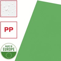 Insteekmap L-model Esselte standaard A4 0.11mm PP groen 100 stuks-2