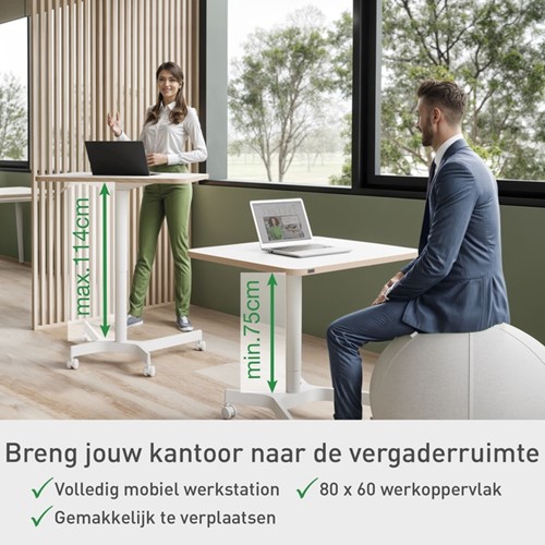 Zit-Sta bureau Leitz Ergo compact-3