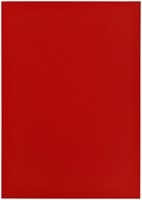 Kopieerpapier Papicolor A4 100gr 12vel rood-3