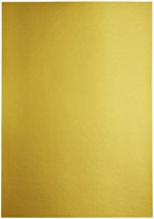 Kopieerpapier Papicolor A4 300gr 3vel metallic goud-3