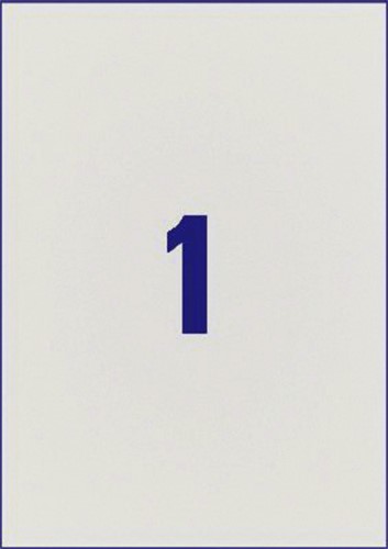Etiket Avery L6013-20 210x297mm zilver 20 etiketten-2