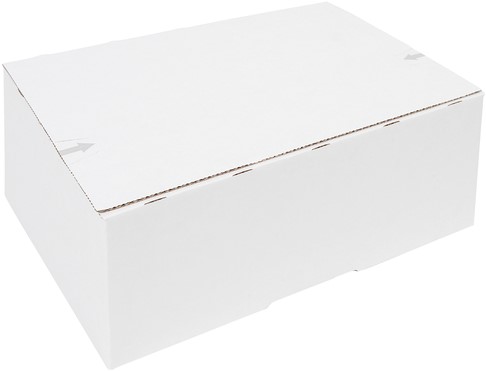 Postpakketbox IEZZY 2 200x140x80mm wit