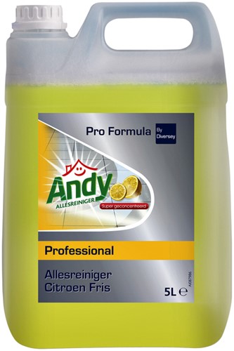 Allesreiniger Andy citroen fris 5 liter