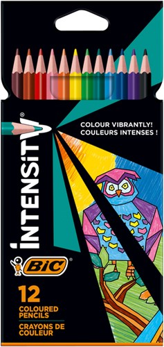 Kleurpotloden Bic Intensity assorti etui  à 12 stuks