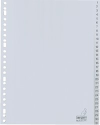 Tabbladen Kangaro 23-gaats G431CM 1-31 genummerd grijs PP