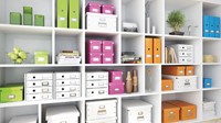 Opbergdoos Leitz Click & Store WOW middel gerecycled karton 281x200x370mm ijsblauw-3