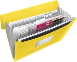 Projectmap Esselte Vivida A4 6 vakken PP assorti