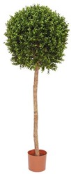 Kunst Buxus op stam 140cm groen