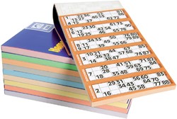 Bingoblok 210x120mm
