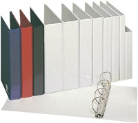 Presentatieringband Esselte panorama A4 4-rings D-mechaniek 30mm PP wit-3