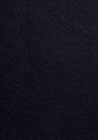 Voorblad Fellowes A4 lederlook zwart 100stuks-1