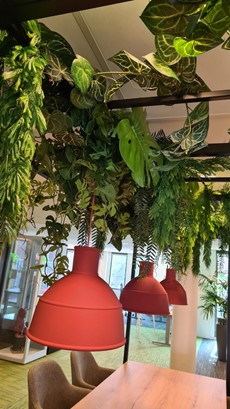 Duo+ 1e etage in Uithoorn-1152