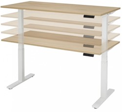 Elektrisch verstelbare zit-sta werkplek "Budget" 120x80cm - Ahorn - Wit
